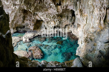 Grotte de calcaire, Avaiki, Nuie, Pacifique Sud, l'Océanie Banque D'Images