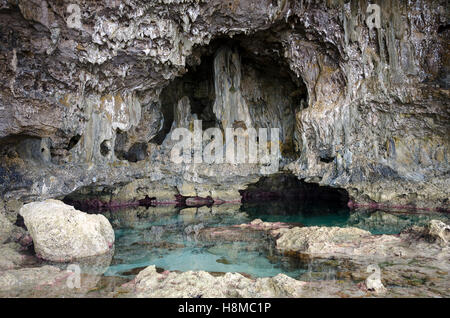 Grotte de calcaire, Avaiki, Nuie, Pacifique Sud, l'Océanie Banque D'Images