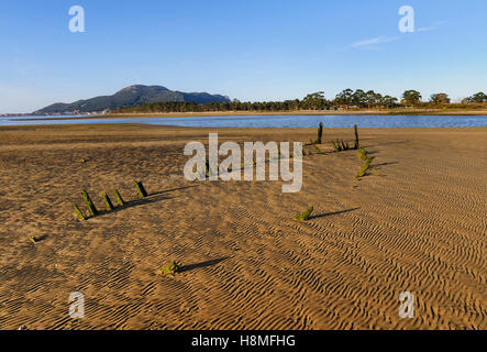 Vestiges d'un bateau en bois enterré dans le sable de plage, Colindres-Laredo Regaton, Cantabrie, Espagne. Banque D'Images