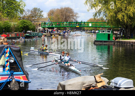 Deux de couple sur la rivière Lea au Springfield Marina au cours d'une compétition d'aviron à Lea Rowing Club, London, UK Banque D'Images