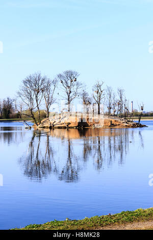 Les nids de cormorans sur l'une des îles sur le Réservoirs de Walthamstow, London, UK Banque D'Images