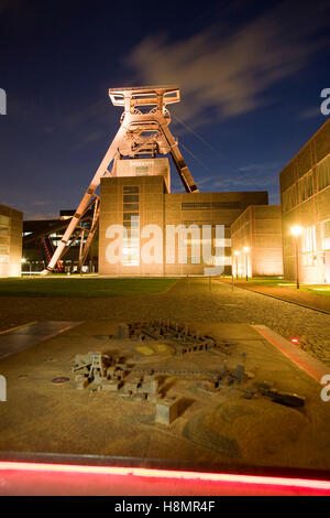 L'Allemagne, la Ruhr, Essen, monument de l'industrie Zeche Zollverein XII, l'arbre, l'arbre, de la tour modèle de la mine de charbon de Zollverein. Banque D'Images