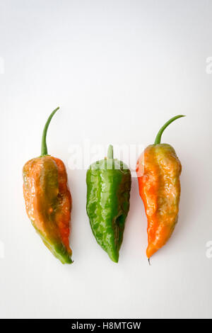 Trois rouges et verts Naga Jolokia Naga Norfolk ou piments sur un fond blanc Banque D'Images