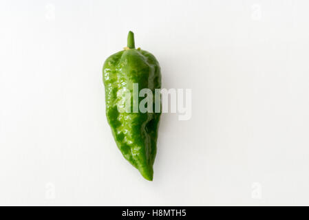 Un livre vert ou Naga Jolokia Naga Norfolk chili peppers sur fond blanc Banque D'Images