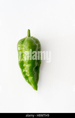 Un livre vert ou Naga Jolokia Naga Norfolk chili peppers sur fond blanc Banque D'Images