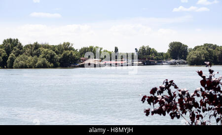 Des bateaux et des radeaux, ancrée sur le Danube avec beau ciel bleu et arbres en arrière-plan Banque D'Images