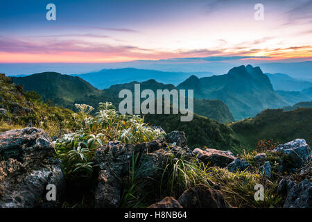 Raylight coucher du soleil Paysage à Doi Luang Chiang Dao, haute montagne dans la province de Chiang Mai, Thaïlande Banque D'Images