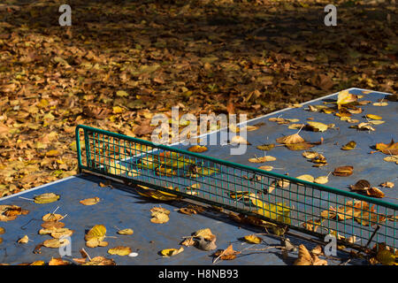 Bleu piscine horizontale de ping-pong avec filet métallique dans un parc couvert de feuilles d'automne Banque D'Images