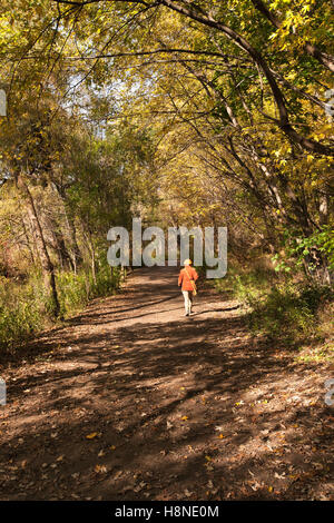 Femme marchant le long sentier du parc pendant la période automnale à High Park, Toronto Banque D'Images