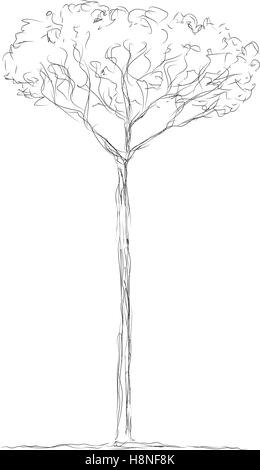 Arbre d'illustration vectorielle Illustration de Vecteur