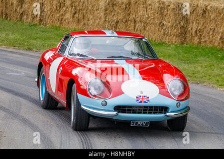 1966 Ferrari 275 GTB/c avec chauffeur Paul Vestey au Goodwood Festival of Speed 2016, Sussex, UK Banque D'Images