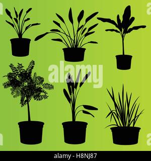Les plantes en pots de fleur set background vector isolés Illustration de Vecteur