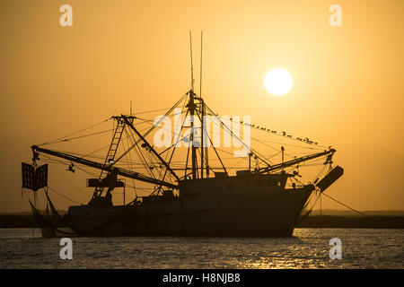 Bateau de crevettes au lever du soleil près de Port Aransas Texas Banque D'Images