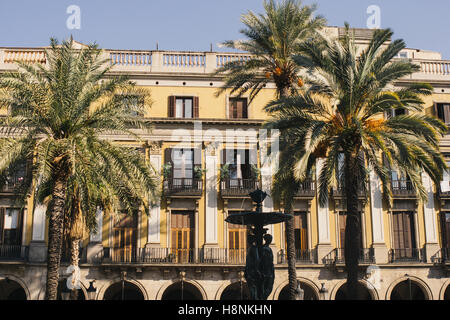 Un bâtiment et de palmiers sur la Plaça Reial à Barcelone, Espagne. Banque D'Images