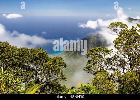 Vue depuis la Kalalau Lookout dans Kokee State Park en Kalalau Valley à la côte de Na Pali sur Kauai, Hawaii, USA. Banque D'Images