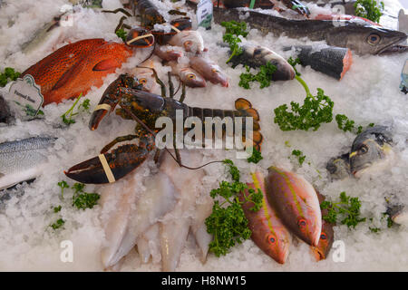 Le homard et le poisson frais sur la glace Banque D'Images