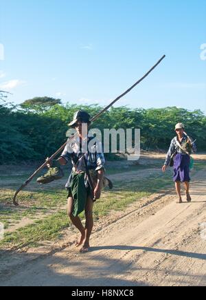 Bagan, Myanmar - le 12 novembre 2014. Les agriculteurs de la plaine de Bagan marche pieds nus et portant une faux. Banque D'Images