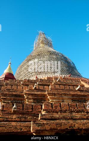 Pagode Dhammayazika, Bagan, Myanmar, encastré dans les échafaudages en bambou, Banque D'Images