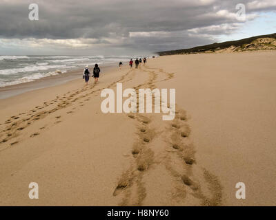 - Un groupe de personnes dans la distance de marche le long d'une plage déserte avec des traces de pas dans l'avant-plan. Des nuages de tempête gathering Banque D'Images