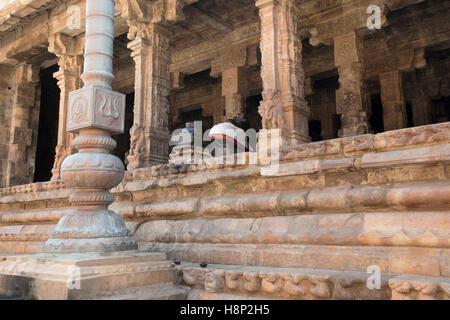 Flagpost et pilier 100 Maha-mandapa, Temple d'Airavatesvara, Darasuram, Tamil Nadu, Inde. Vue depuis le nord-est. Banque D'Images