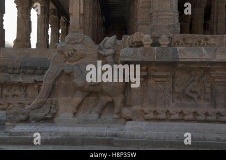 Décoration de balustrade yeli riders, Deivanayaki Amman de culte, à proximité de Temple d'Airavatesvara, Darasuram, Tamil Nadu, Inde. Banque D'Images