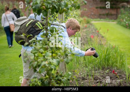Royaume-uni, Angleterre, dans le Yorkshire - touristes prenant des photos des jardins sur la base de l'historique Kiplin Hall dans le Yorkshire, Englan Banque D'Images