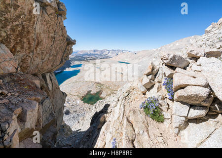 Une vue du col de forestier à Sequoia National Park, la Sierra Nevada, en Californie, États-Unis d'Amérique Banque D'Images