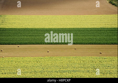 Vue aérienne sur les champs cultivés dans la Marne (nord-est de la France). Banque D'Images