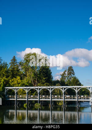 Marsh Lock, Wier, River Thames, Henley-on-Thames, Oxfordshire, Angleterre, Royaume-Uni, GB. Banque D'Images