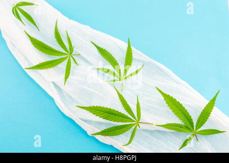 Tas de plants de marijuana en tissu blanc sur fond bleu Banque D'Images