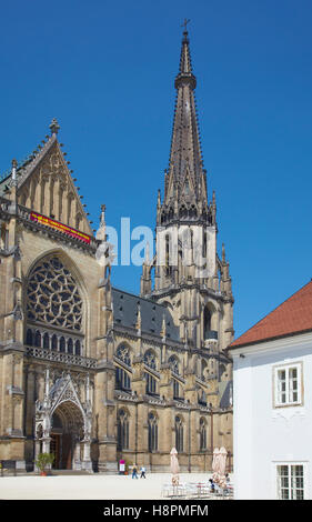 Mariendom, cathédrale St Mary, à Linz, Haute Autriche, Autriche, Europe Banque D'Images