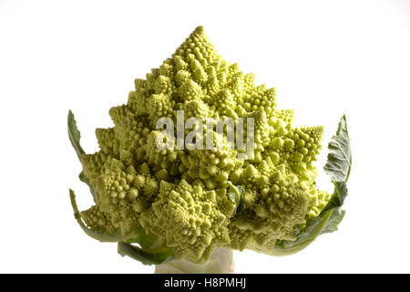 Le brocoli Romanesco ou romain Chou-fleur (Brassica oleracea) Banque D'Images