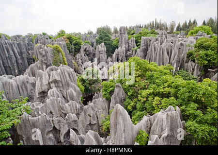 Forêt de pierre de Shilin, Kunming, Chine, Asie Banque D'Images