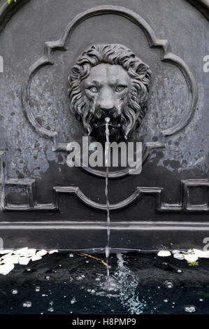 En tant que tête de lion sculpture-fontaine Banque D'Images