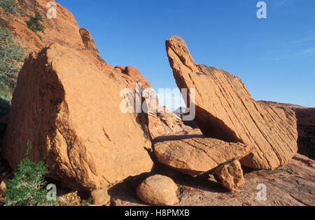 Des roches dans le calicot Hills, près de Red Rock Canyon Las Vegas, Nevada, USA Banque D'Images