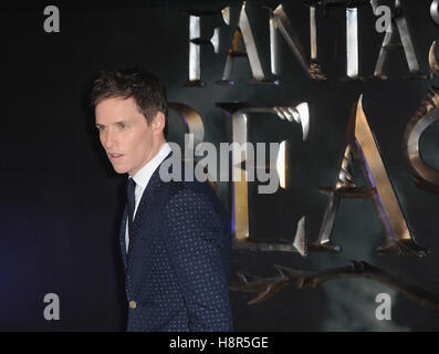 London, UK 15 Nov, 2016.. Taylor Lautner assiste à la première européenne de "Vie et habitat des animaux fantastiques" à l'Empire Leciester Square. Credit : Ferdaus Shamim/ZUMA/Alamy Fil Live News Banque D'Images