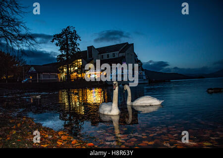 Bowness Bay, Cumbria, Royaume-Uni, le 15 novembre 2016 Après une journée lumineuse crépuscule vient à Bowness Bay Crédit : David Billinge Cumbria/Alamy Live News Banque D'Images