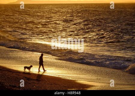 West Bay, Dorset, UK. 16 Nov, 2016. Météo britannique. Un matin tôt dog walker jouit du lever du soleil sur la plage de West Bay sur ce qui promet d'être une journée ensoleillée dans le sud ouest. Crédit : Tom Jura/Alamy Live News Banque D'Images