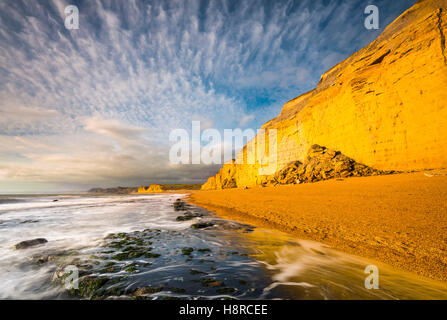 Burton Bradstock, Dorset, UK. 16 Nov, 2016. Météo britannique. Un bel après-midi ensoleillé rend les falaises de grès d'un éclat doré à Burton Bradstock Beach sur la côte jurassique du Dorset, sur une belle après-midi d'automne. L'emblématique golden Cliffs at Burton Bradstock sont belle mais dangereuse, car il y a de nombreux glissements de terrain au cours de l'année qui a conduit à un décès en 2012. Crédit photo : Graham Hunt/Alamy Live News Banque D'Images