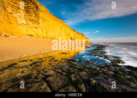 Burton Bradstock, Dorset, UK. 16 Nov, 2016. Météo britannique. Un bel après-midi ensoleillé rend les falaises de grès d'un éclat doré à Burton Bradstock Beach sur la côte jurassique du Dorset, sur une belle après-midi d'automne. L'emblématique golden Cliffs at Burton Bradstock sont belle mais dangereuse, car il y a de nombreux glissements de terrain au cours de l'année qui a conduit à un décès en 2012. Crédit photo : Graham Hunt/Alamy Live News Banque D'Images