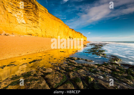 Burton Bradstock, Dorset, UK. 16 Nov, 2016. Météo britannique. Un bel après-midi ensoleillé rend les falaises de grès d'un éclat doré à Burton Bradstock Beach sur la côte jurassique du Dorset, sur une belle après-midi d'automne. L'emblématique golden Cliffs at Burton Bradstock sont belle mais dangereuse, car il y a de nombreux glissements de terrain au cours de l'année qui a conduit à un décès en 2012. Crédit photo : Graham Hunt/Alamy Live News Banque D'Images