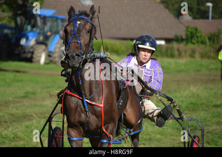 Courses de Sulky au village montrent, Beulah, Powys, Wales Banque D'Images