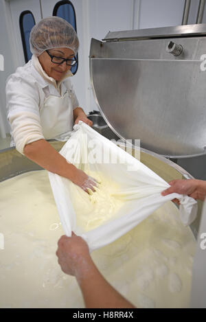 Deux travailleurs de la manipulation du lait de brebis à une usine de fromage Queijo da Serra au Portugal Banque D'Images