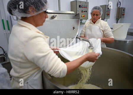 Deux travailleurs de la manipulation du lait de brebis à une usine de fromage Queijo da Serra au Portugal Banque D'Images