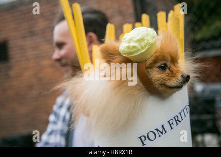 New York City, New York, USA. 25e Congrès annuel de la Parade Halloween Animal, Tompkins Square Park. Banque D'Images