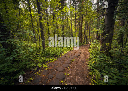 Parc naturel de Ruchi Oleni (région de Sverdlovsk) Banque D'Images