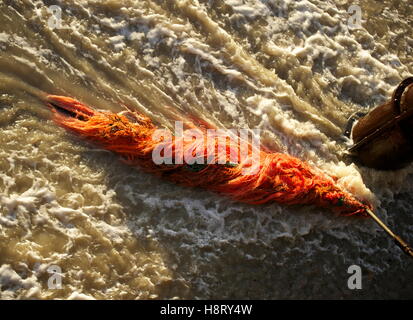 AJAXNETPHOTO. WORTHING, Angleterre. Pêche - Babylon - VESTIGES D'UN FILET DE PÊCHE ACCROCHÉ À LA STRUCTURE DE LA JETÉE DE LA PLAGE. PHOTO:JONATHAN EASTLAND/AJAX REF:D130201 1207 Banque D'Images