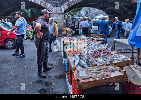 La Pescheria, marché aux poissons, Catane, Sicile, Italie Banque D'Images