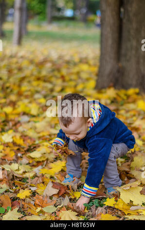 Petit enfant garçon ramasser les feuilles d'automne dans des vêtements colorés. S'amusant à l'automne parc sur journée chaude Banque D'Images