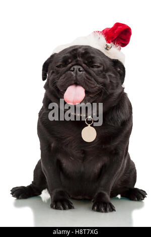 Portrait of pug chien chiot noir en rouge Christmas hat vêtements chiens isolé sur fond blanc Modèle Libération : N° des biens : oui (chien). Banque D'Images